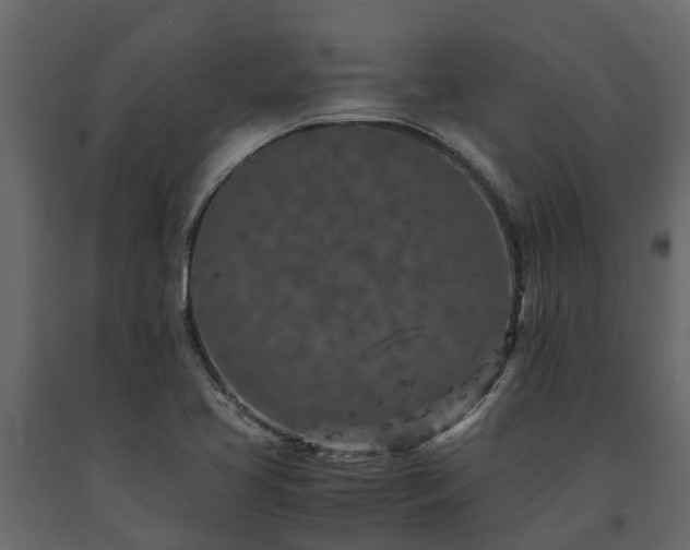 X0000091651413200708231211