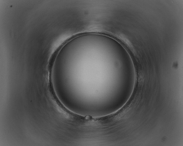 X0000091651414200708231211