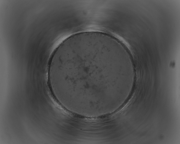 X0000091651415200708231211