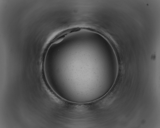 X0000091651416200708231211