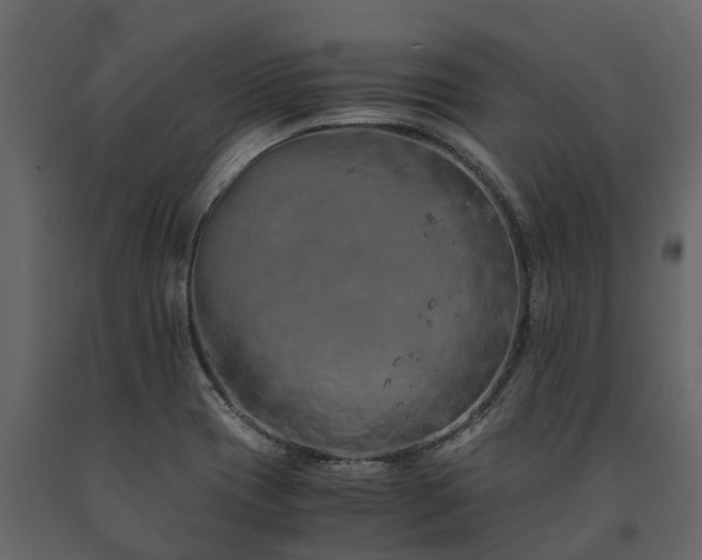 X0000091651417200708231211