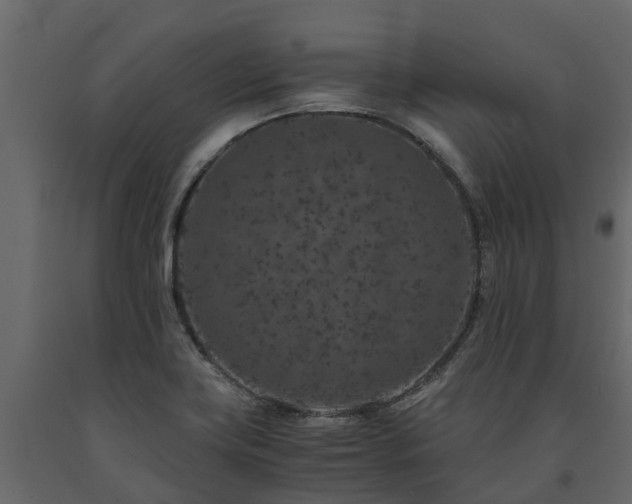 X0000091651419200708231211