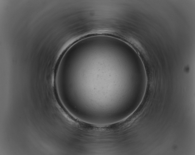 X0000091651420200708231211