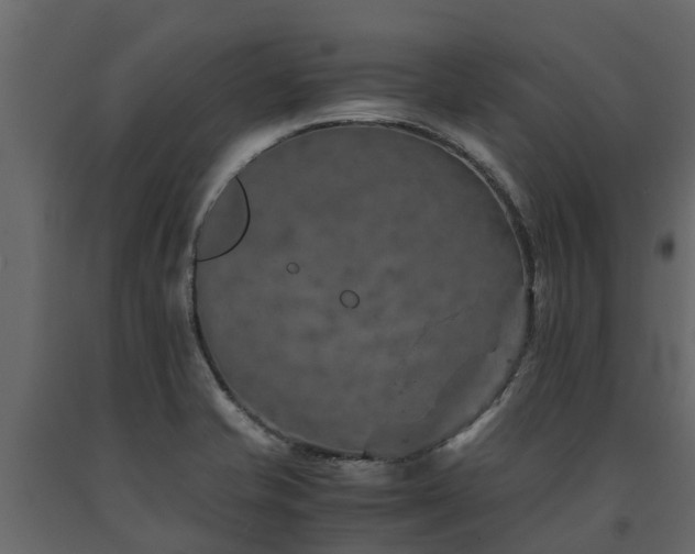 X0000091651421200708231211