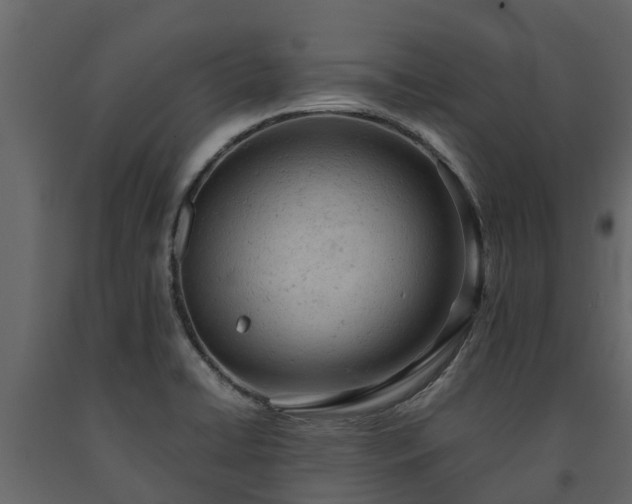 X0000091651422200708231211