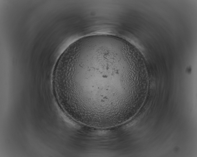 X0000091651423200708231211