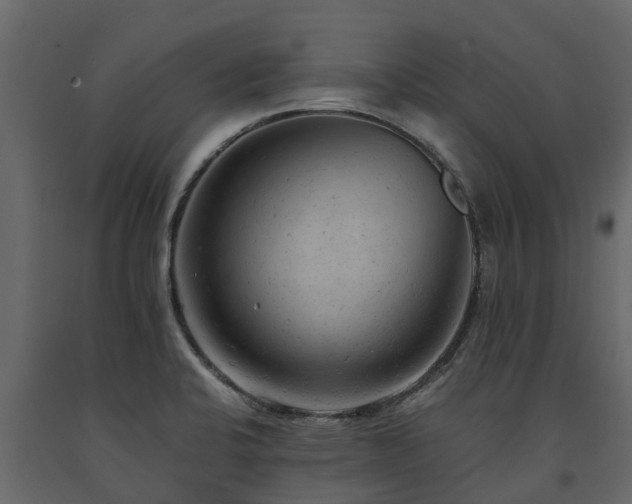 X0000091651424200708231211