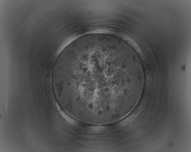 X0000091651425200708231211