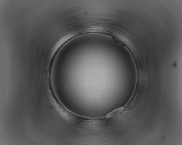X0000091651426200708231211
