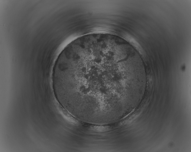 X0000091651427200708231211