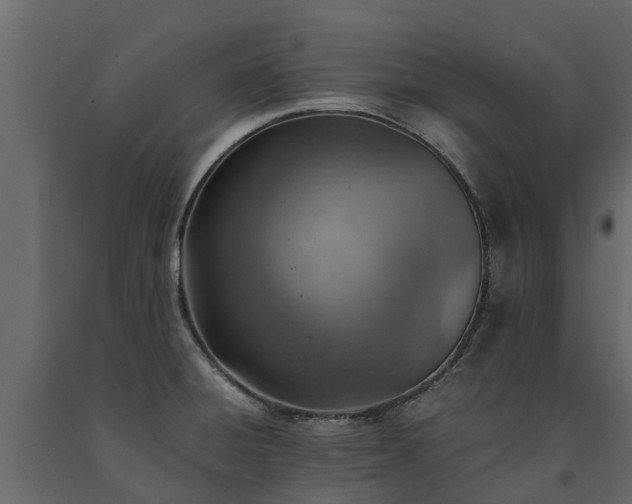 X0000091651428200708231211