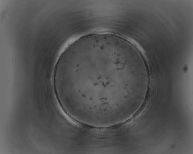 X0000091651429200708231211