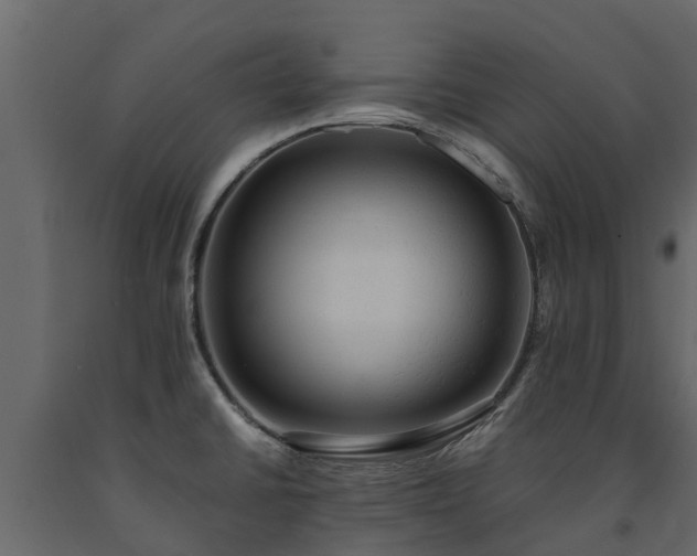 X0000091651430200708231211