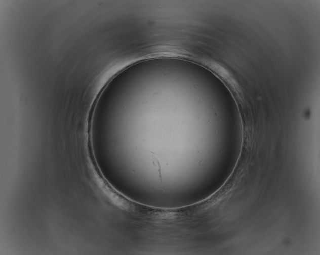 X0000091651431200708231211