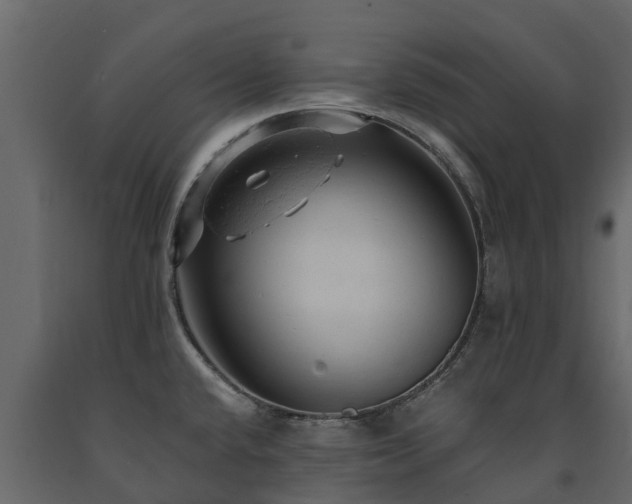 X0000091651432200708231211
