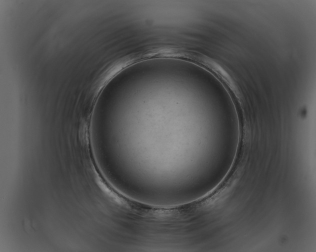 X0000091651433200708231211