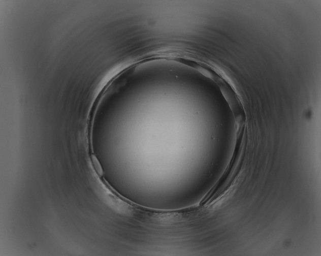 X0000091651434200708231211