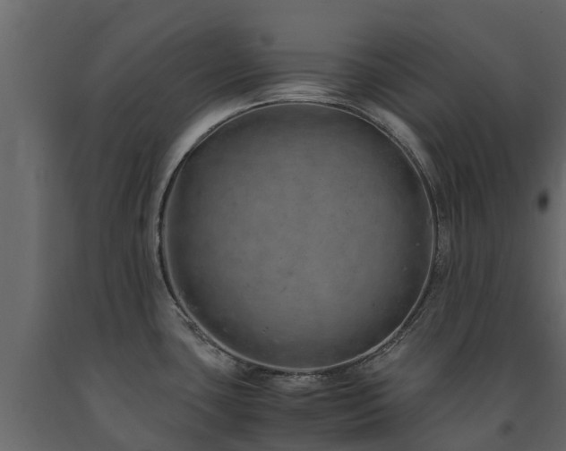 X0000091651435200708231211