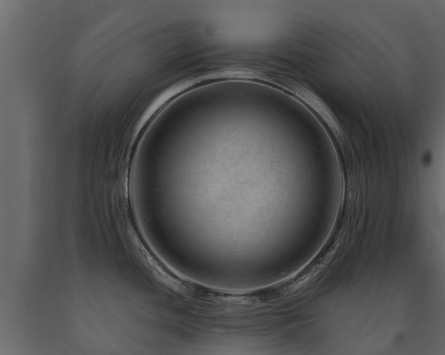 X0000091651436200708231211