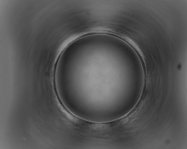 X0000091651437200708231211