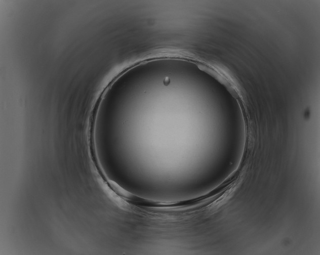 X0000091651438200708231211