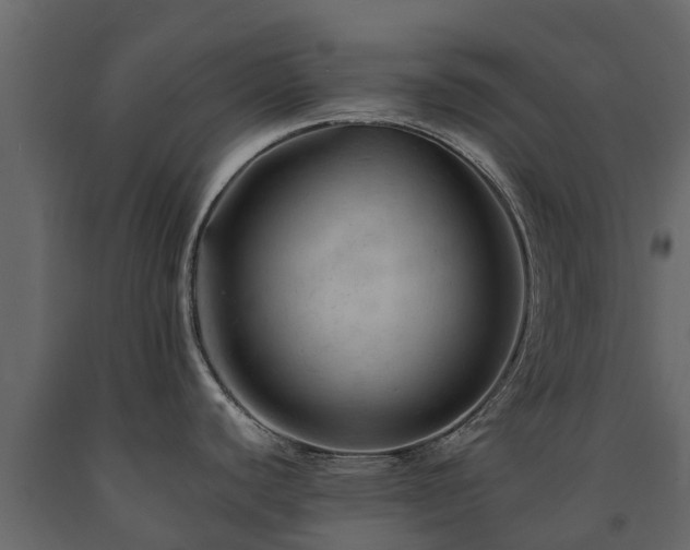 X0000091651440200708231211