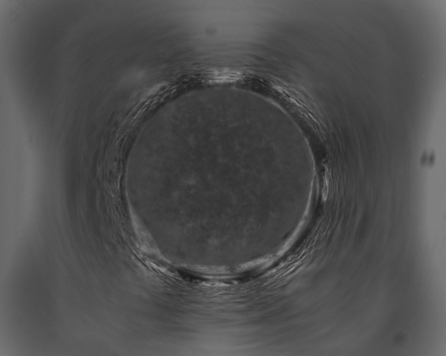 X0000091651441200708231211