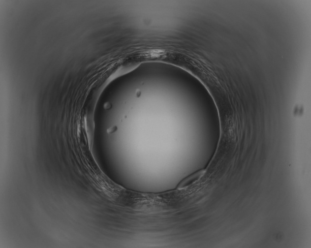 X0000091651442200708231211