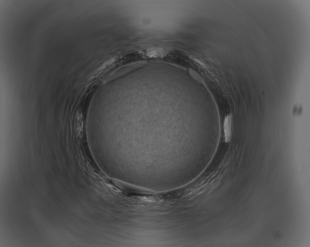 X0000091651443200708231211