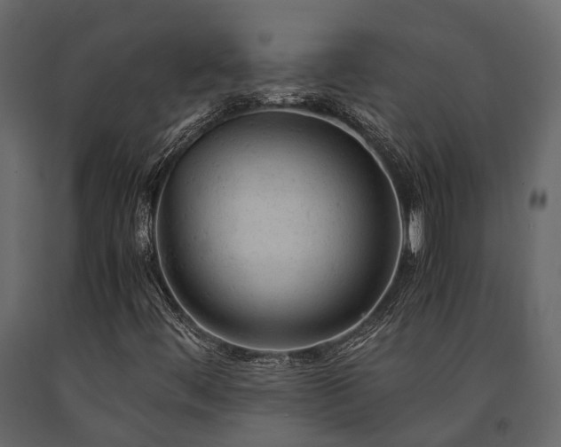 X0000091651444200708231211