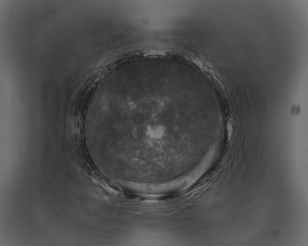 X0000091651445200708231211