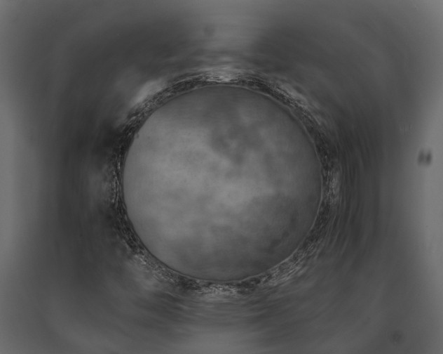 X0000091651446200708231211