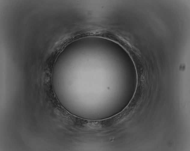 X0000091651447200708231211