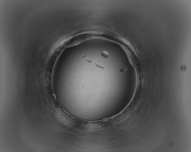 X0000091651448200708231211