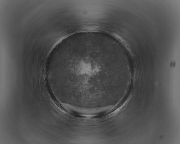 X0000091651449200708231211