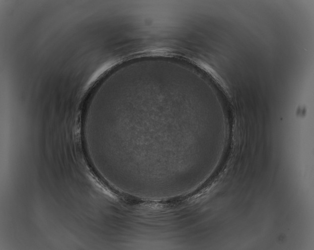 X0000091651450200708231211