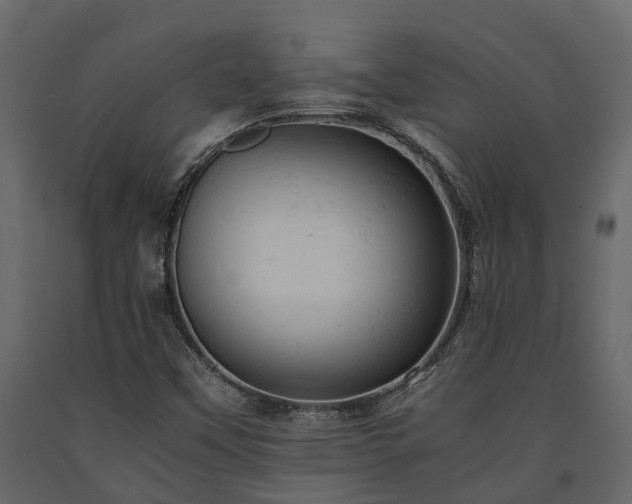X0000091651451200708231211