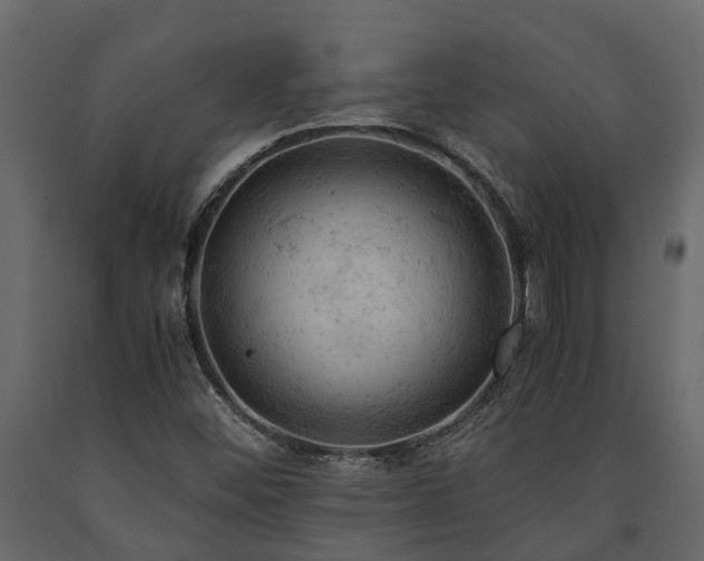 X0000091651452200708231211