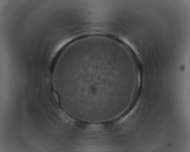 X0000091651453200708231211