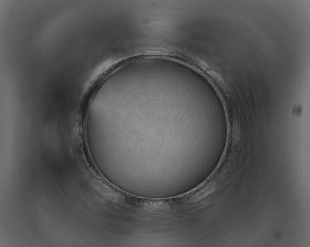 X0000091651454200708231210