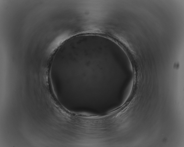 X0000091651455200708231210