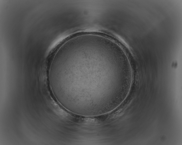 X0000091651456200708231210