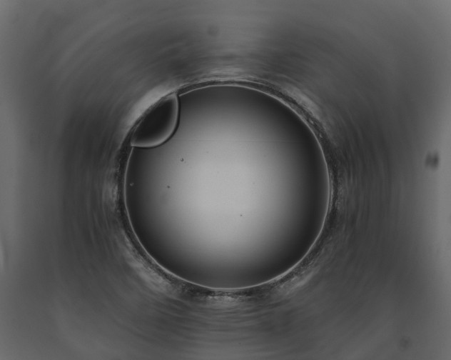 X0000091651458200708231210