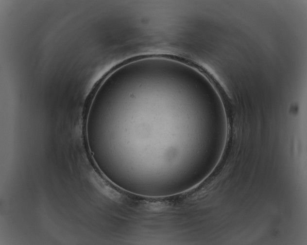 X0000091651460200708231210