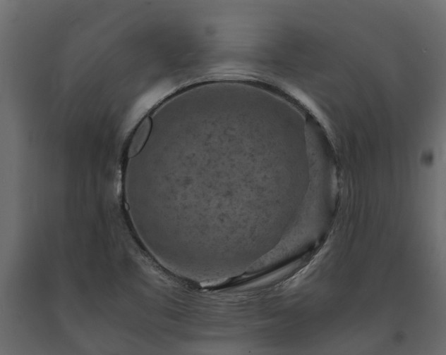 X0000091651461200708231210