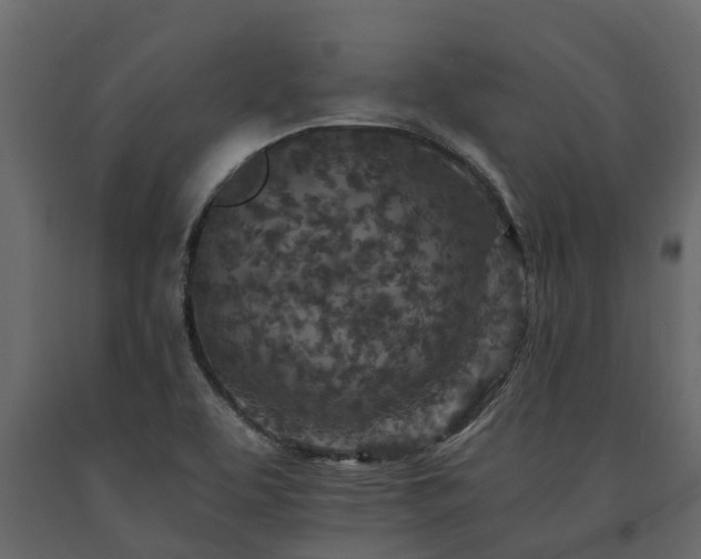 X0000091651463200708231210