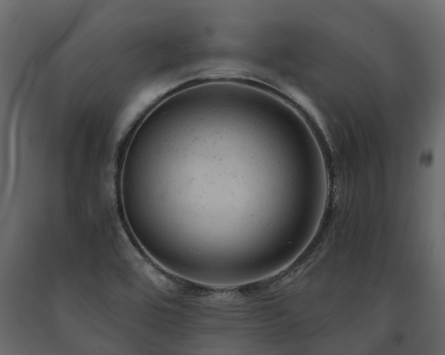 X0000091651464200708231210