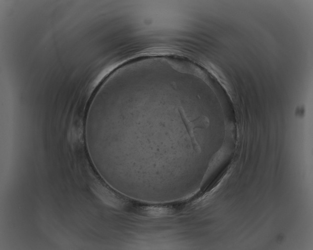 X0000091651465200708231210