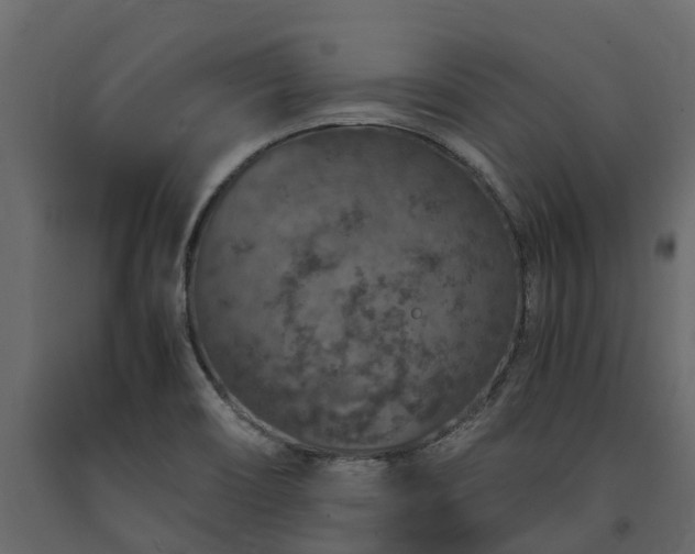 X0000091651466200708231210