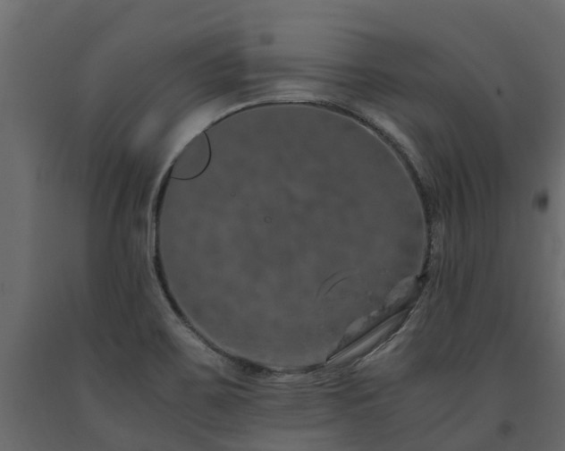 X0000091651467200708231210